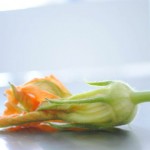 squash blossoms