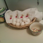 eggs basket